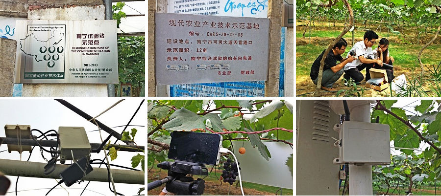 智慧農業(yè)為國家葡萄產業(yè)技術體系南寧站帶來高效與便利