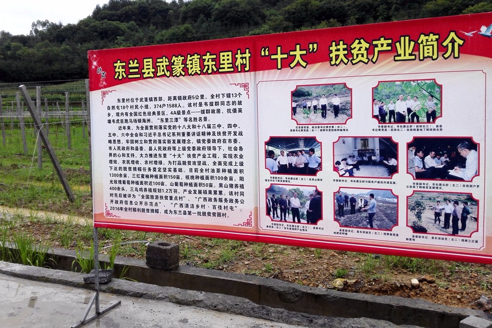 廣西東蘭縣山區(qū)開啟葡萄智能化產(chǎn)業(yè)扶貧生產(chǎn)示范 廣西東蘭縣山區(qū)開啟葡萄智能化產(chǎn)業(yè)扶貧生產(chǎn)示范