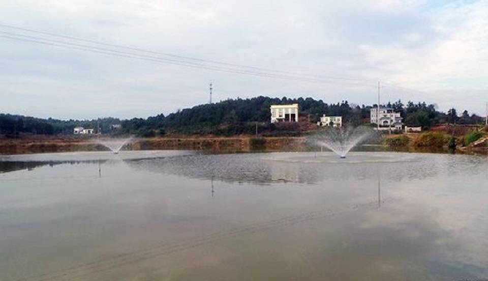 水產(chǎn)養(yǎng)殖也能搭乘智慧農(nóng)業(yè)實現(xiàn)精準(zhǔn)高效養(yǎng)殖 水產(chǎn)養(yǎng)殖也能搭乘智慧農(nóng)業(yè)實現(xiàn)精準(zhǔn)高效養(yǎng)殖