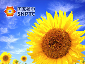 國家核電網(wǎng)站建設(shè) 國家核電網(wǎng)站建設(shè)