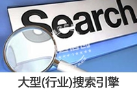 定制開發(fā) 搜索引擎 行業(yè)_大型(行業(yè))搜索引擎 定制開發(fā)