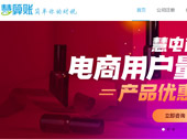 慧算賬網(wǎng)站建設(shè)