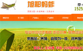 旭祁螞蚱網(wǎng)站建設(shè)