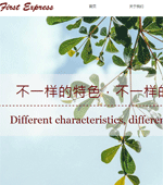 主題酒店網(wǎng)站建設