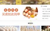 蛋聯(lián)網(wǎng)網(wǎng)站建設(shè)