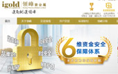 領峰貴金屬網(wǎng)站建設