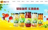 臨沂市康發(fā)食品飲料有限公司網站建設