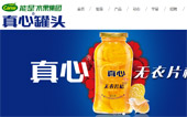 能是水果集團有限公司網站建設