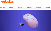 數(shù)碼商城網(wǎng)站建設(shè)