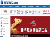 陸家嘴金融網(wǎng)網(wǎng)站建設(shè)