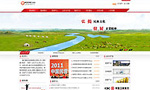 國際投資集團股份公司網(wǎng)站建設