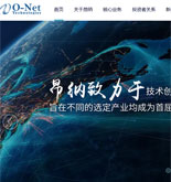 昂納信息技術(深圳)有限公司網(wǎng)站建設