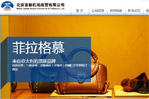 北京首都機場商貿(mào)有限公司網(wǎng)站建設(shè)