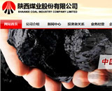 陜西煤業(yè)股份有限公司網(wǎng)站建設