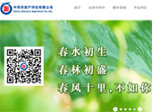 中同華資產(chǎn)評(píng)估有限公司網(wǎng)站建設(shè)