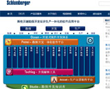 美國(guó)石油網(wǎng)站建設(shè)