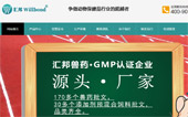 廣州市匯邦動(dòng)物藥業(yè)有限公司網(wǎng)站建設(shè)