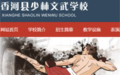 香河縣少林文武學(xué)校網(wǎng)站建設(shè)