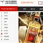 瑞可摩爾網(wǎng)站建設