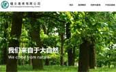 理文造紙有限公司網(wǎng)站建設(shè)