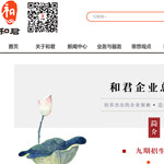 北京和君咨詢有限公司網(wǎng)站建設
