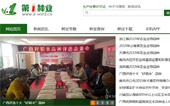 第一種業(yè)網(wǎng)網(wǎng)站建設(shè)
