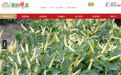 湘研種業(yè)