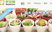 花卉網(wǎng)網(wǎng)站建設