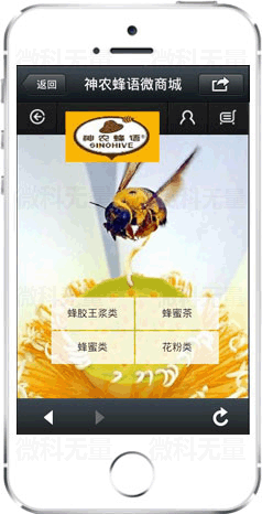 微商城案例一
