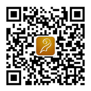 微金融案例二